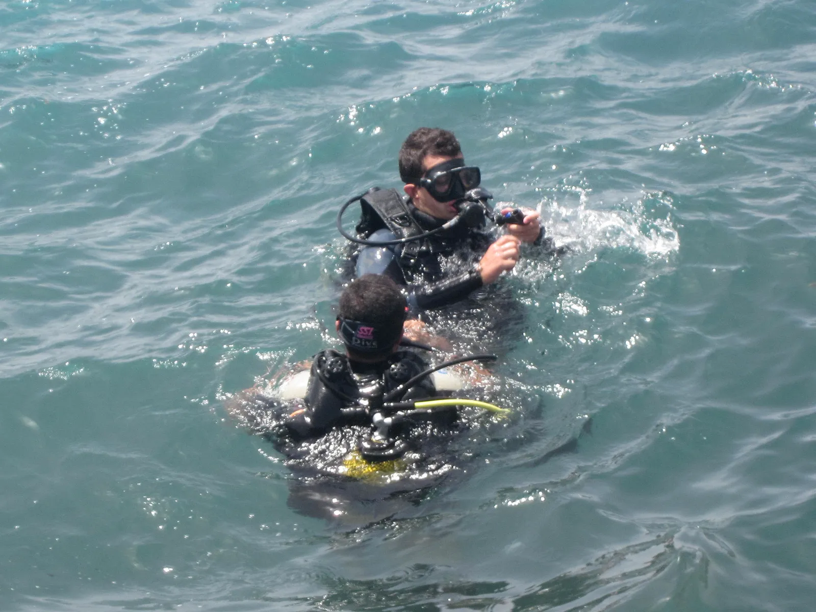 Two scuba divers at the surface, one assisting the other with equipment, Madeira